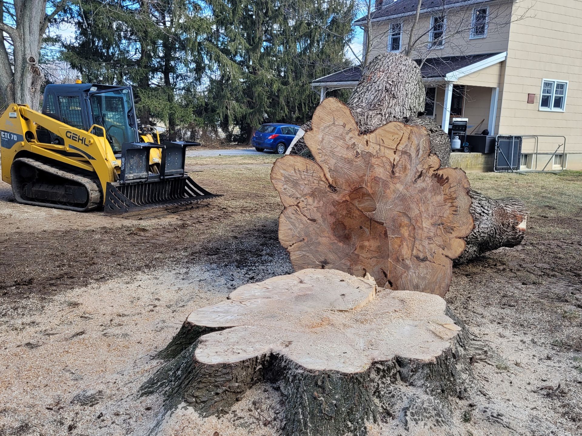 Tree service project