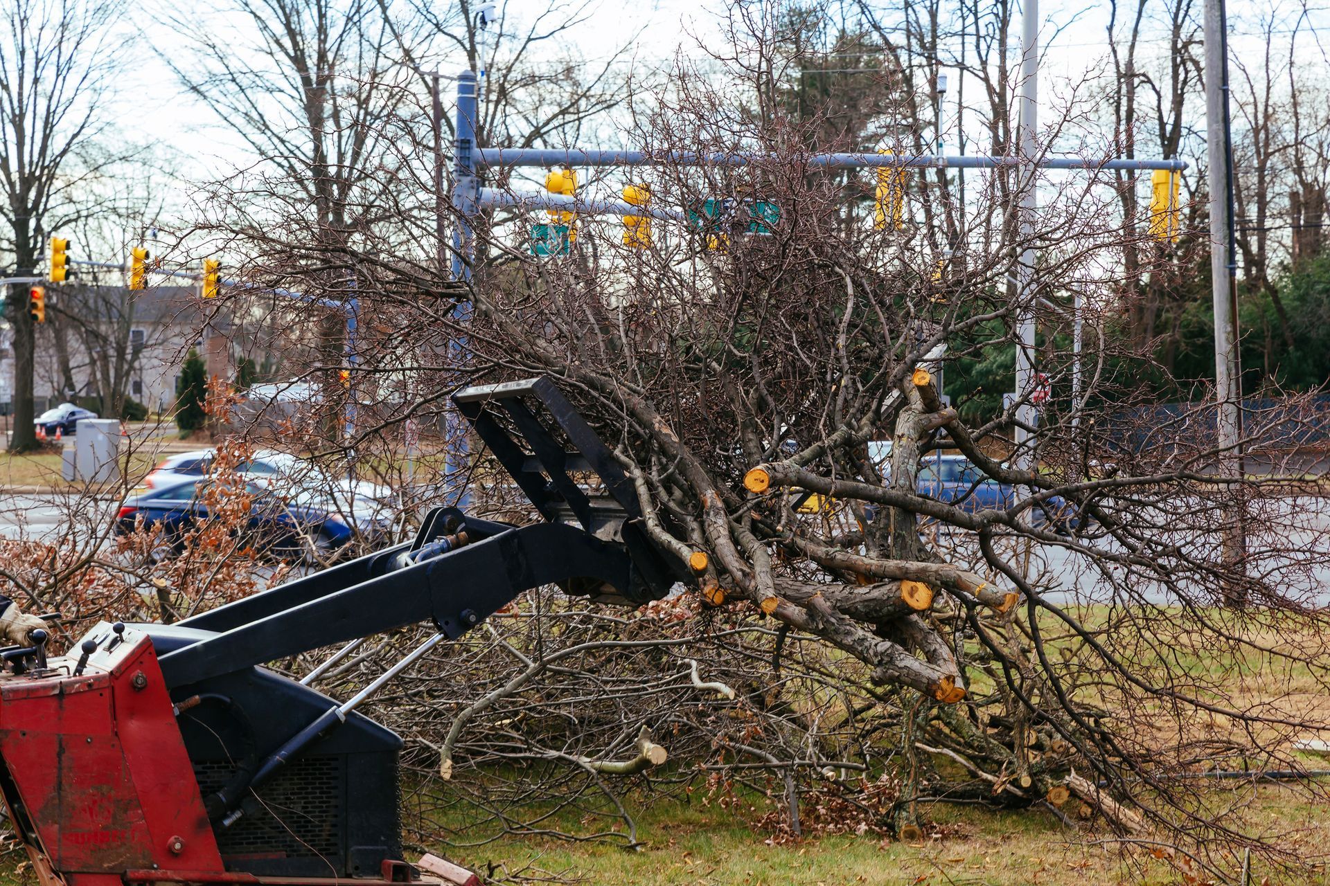 Professional land clearing