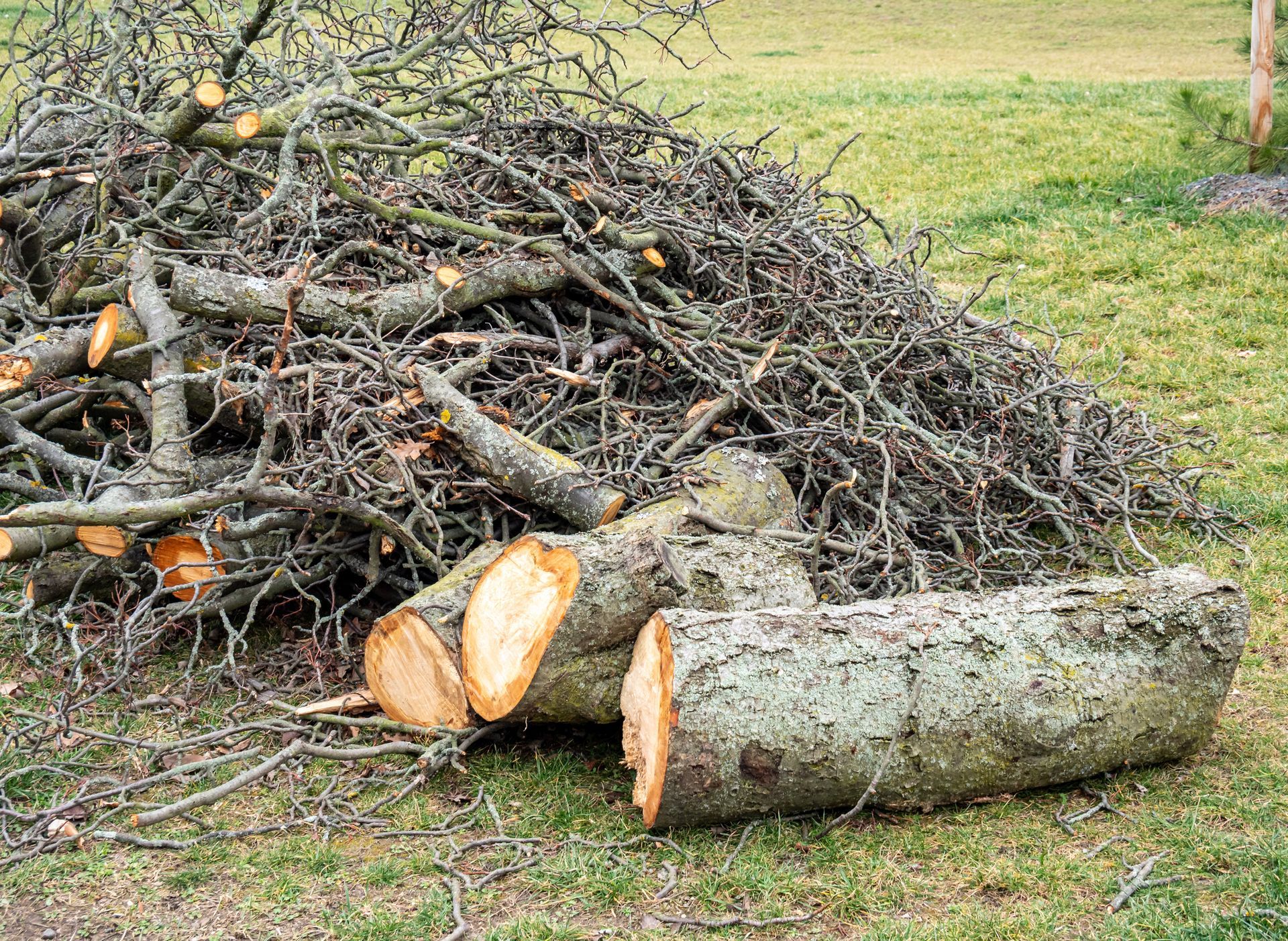 Landscape restoration after storm